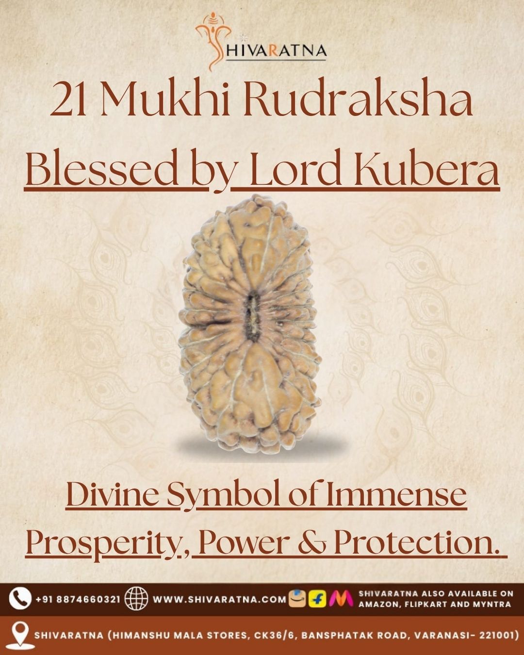 ShivaRatna 21 Mukhi Rudraksha – Certified Indonesian Bead, Well-Formed & Mature, with X-Ray Report - ShivaRatna