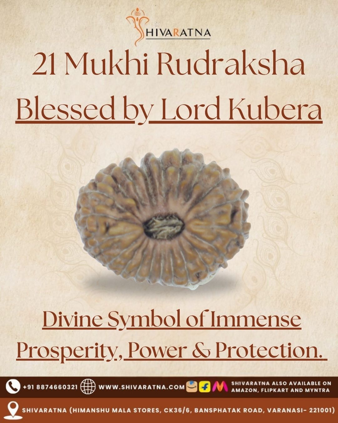ShivaRatna 21 Mukhi Rudraksha – Indonesian Origin, Certified, Well-Shaped & Mature Bead with X-Ray Authentication - ShivaRatna