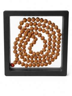 ShivaRatna Natural 5 Mukhi Rudraksha Mala 108+1 Beads (8mm) | RGL Lab Certified | Indonesian Rudraksha | Shri Kashi Vishwanath