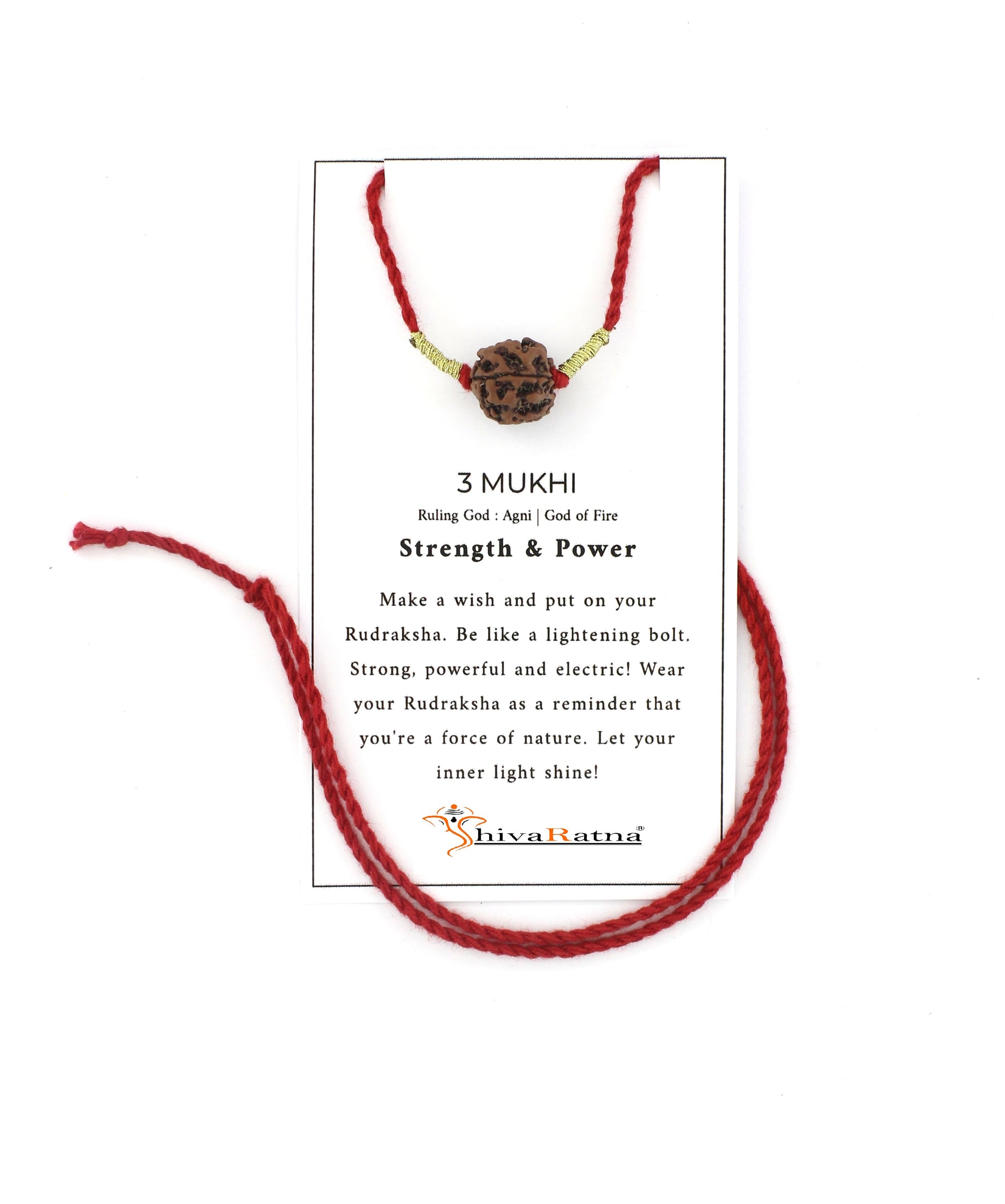 certified rudraksha