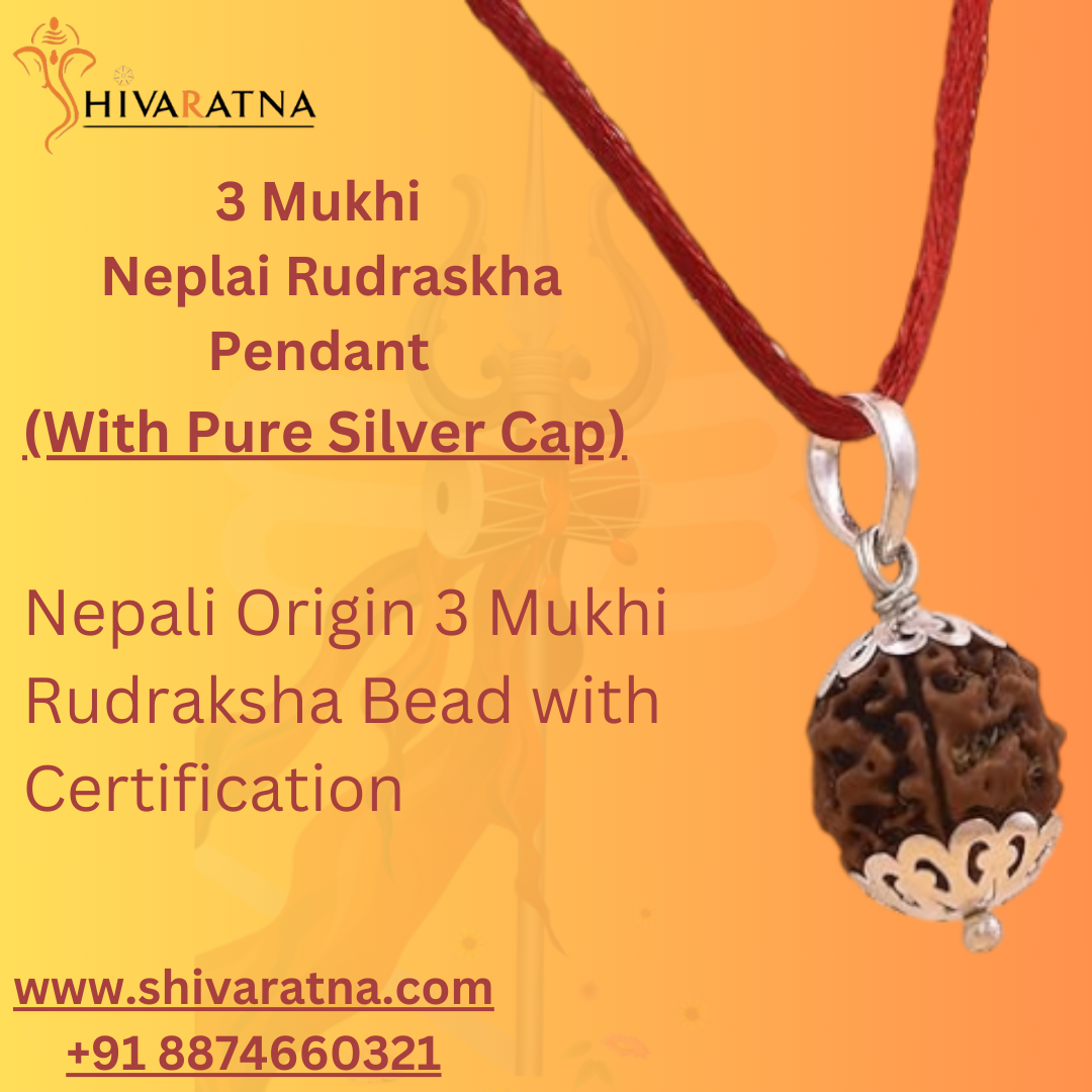 Silver capped 3mukhi 