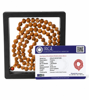 ShivaRatna Natural 5 Mukhi Rudraksha Mala 108+1 Beads (8mm) | RGL Lab Certified | Indonesian Rudraksha | Shri Kashi Vishwanath