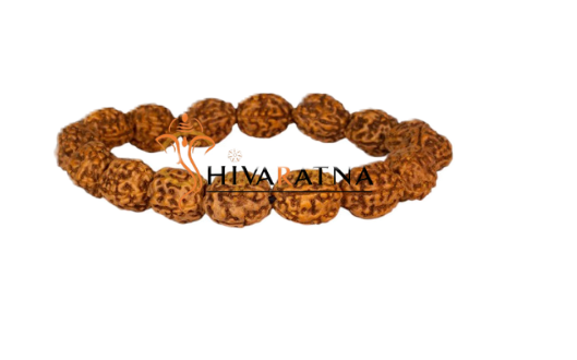 orignal 4mukhi bracelet