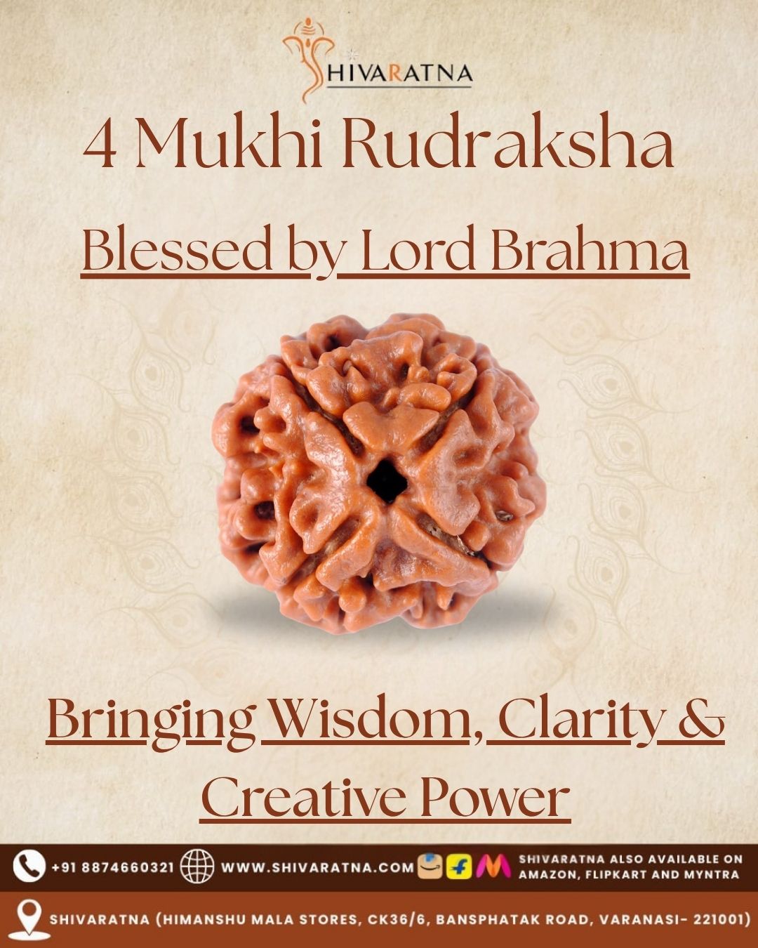 ShivaRatna 4 Mukhi Rudraksha – Certified Nepali Bead, Well-Formed and Fully Matured with X-Ray Verification - ShivaRatna