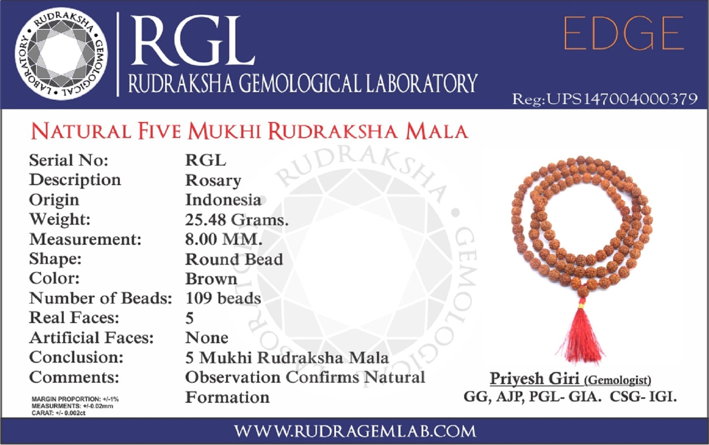 ShivaRatna 5 Mukhi Rudraksha Mala 108+1 beads- Lab Certified - ShivaRatna