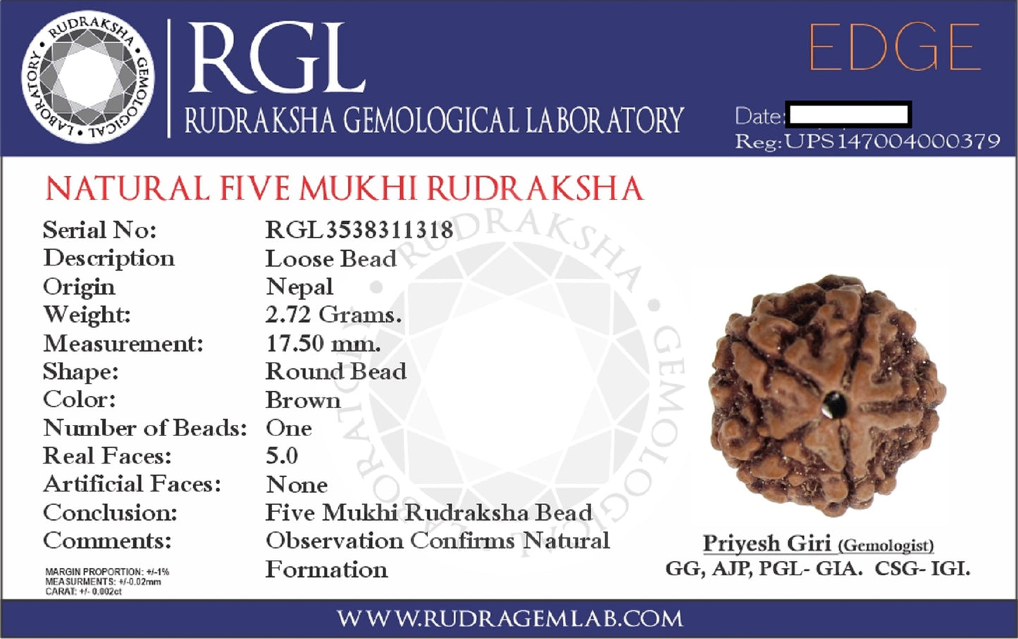 Certified 5mukhi rudraksha