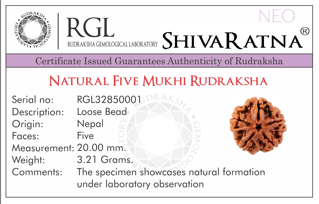 ShivaRatna 5 Mukhi Rudraksha (Nepal) + 2 Beads of Sphatik Made in 5 Mukhi Rudraksha Mala (Total Beads 108+1 Lab Certified) - ShivaRatna