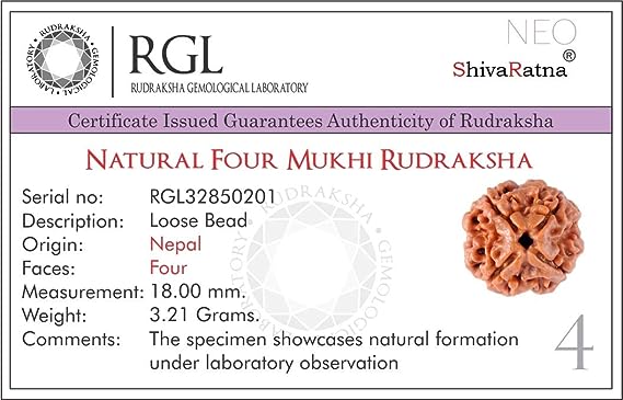 4 mukhi rudraksha benefit