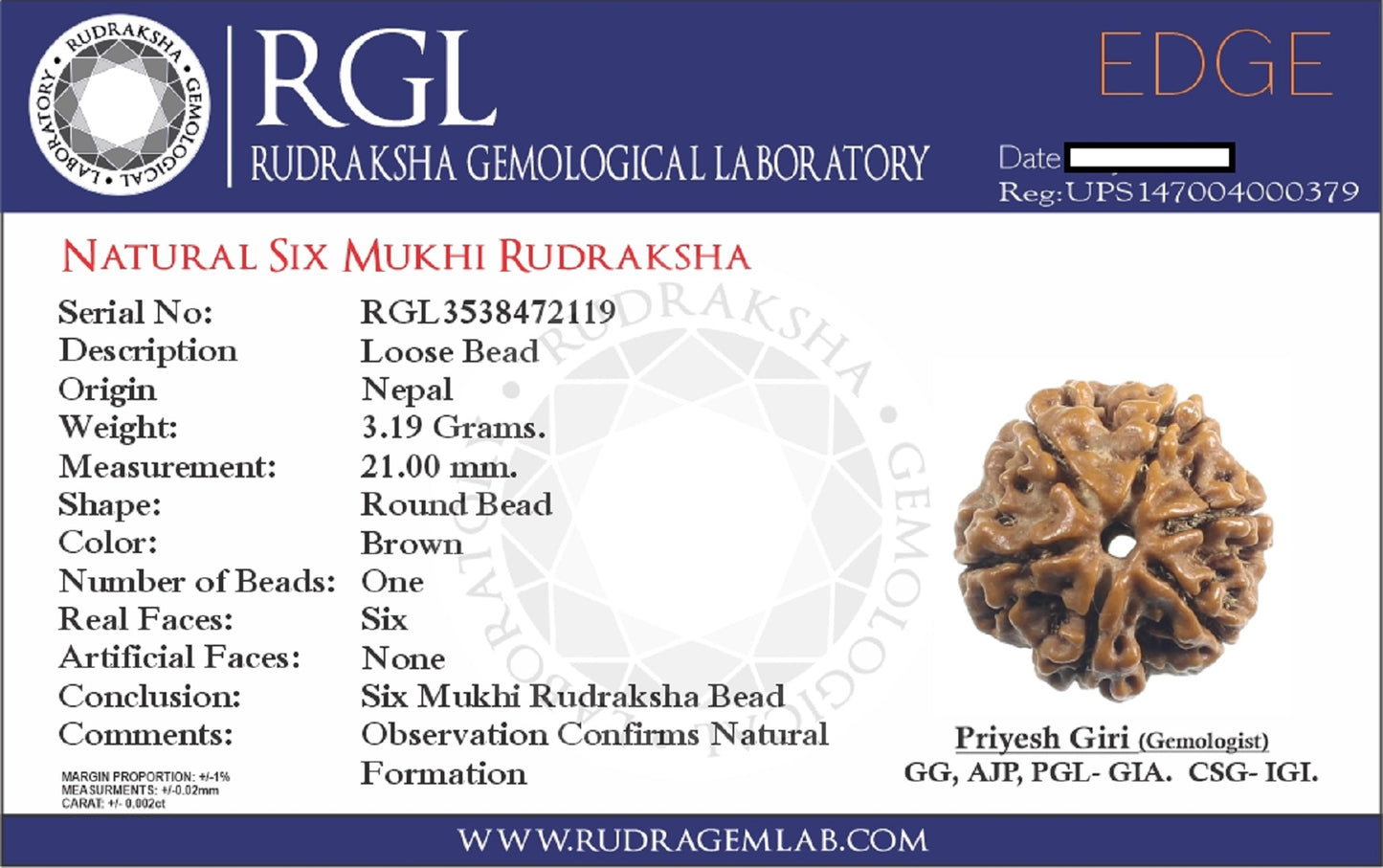 certified rudraksha