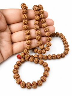 ShivaRatna Natural 5 Mukhi Rudraksha Mala 108+1 Beads (8mm) | RGL Lab Certified | Indonesian Rudraksha | Shri Kashi Vishwanath