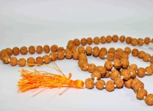 6mukhi rudrakhsa mala