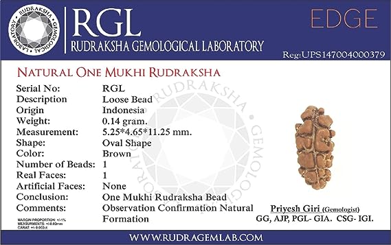 Rudraksha Originale Indonesiano Rudraksha 1 Mukhi In Argento Puro - Seme Originale Indonesiano, Con Certificato Di Autenticità Rudraksha Spirituale Rudraksha Originale Indonesiano Rudraksha 1 Mukhi In Argento Puro - Seme Originale Indonesiano, Con Certificato Di Autenticità Rudraksha Spirituale