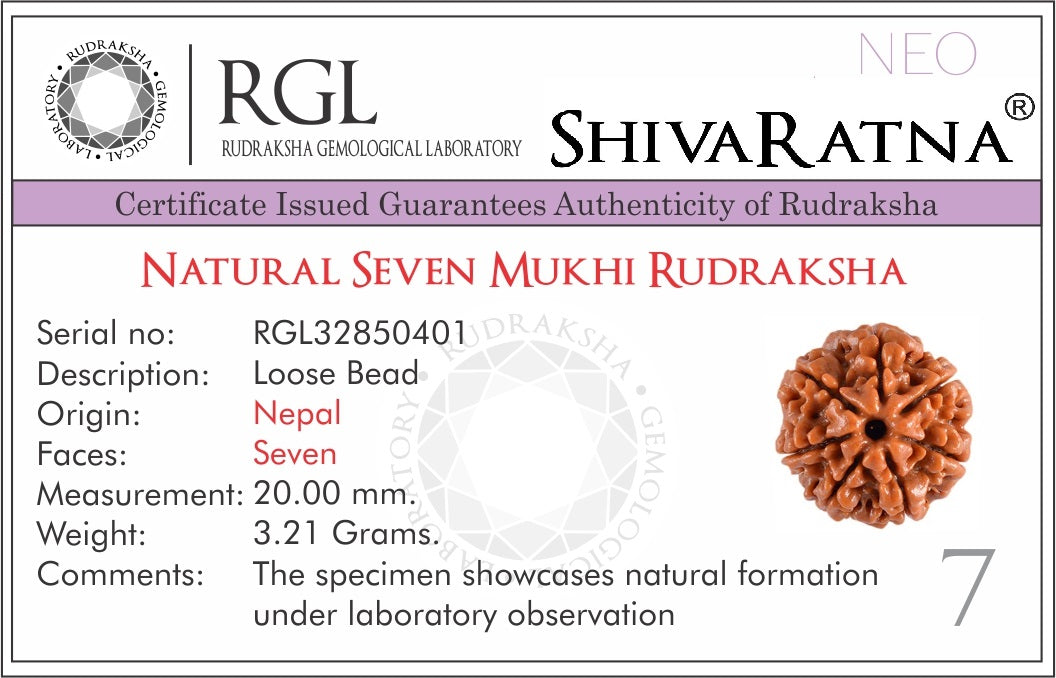 ShivaRatna 7 Mukhi Rudraksha (Nepal) + 109 Beads of 5 Mukhi Rudraksha mala (Pure Silver Cap & Lab Certified) - ShivaRatna