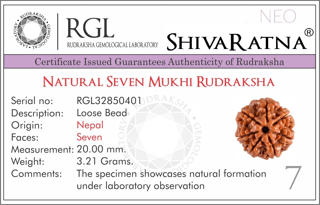 ShivaRatna 7 Mukhi Rudraksha (Nepal) + 2 Beads of Sphatik Made in 5 Mukhi Rudraksha Mala (Total Beads 108+1 Lab Certified) - ShivaRatna