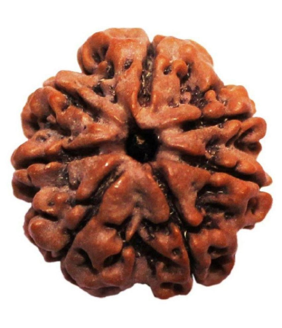 nepali bead 7mukhi