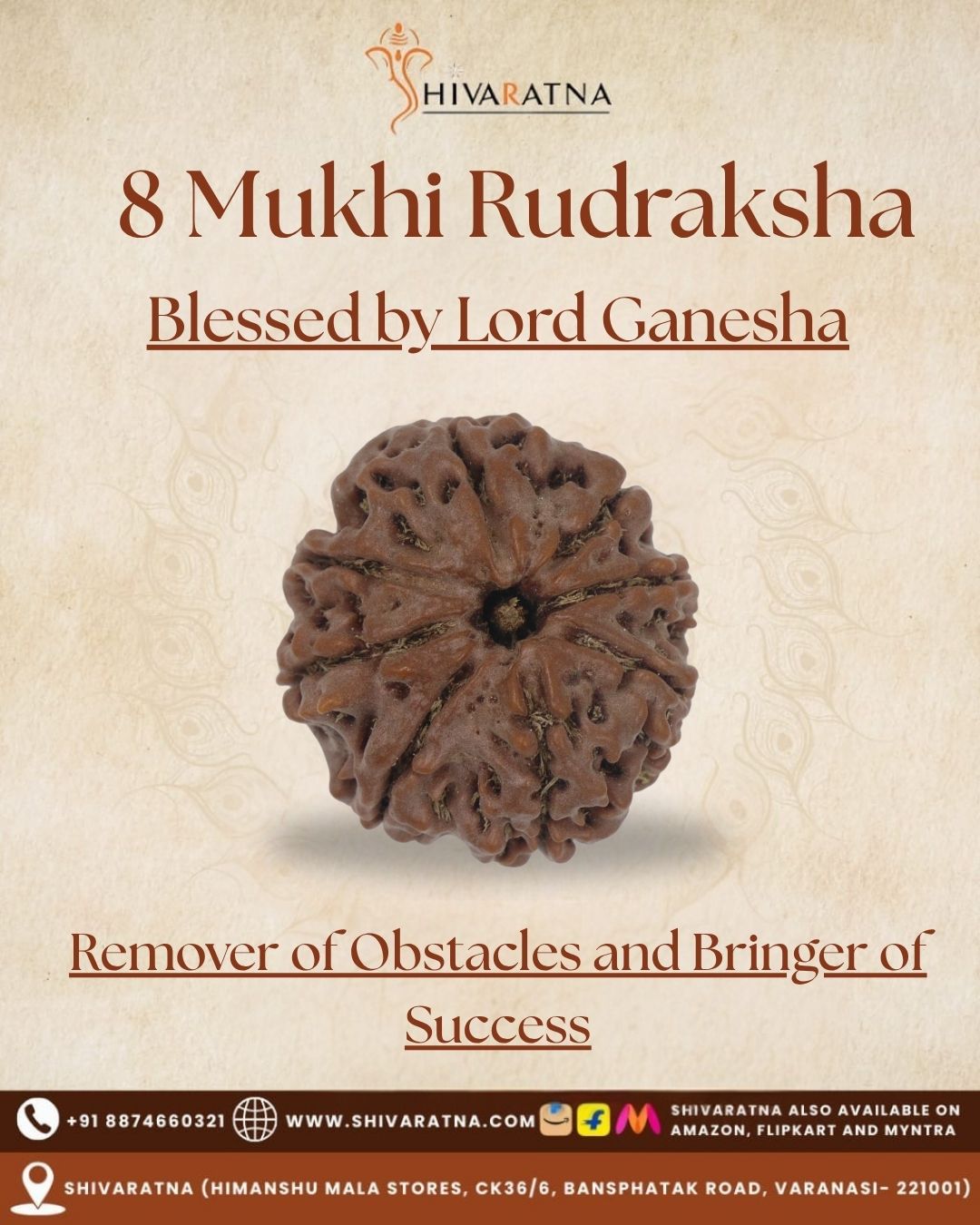 ShivaRatna 8 Mukhi Rudraksha – Certified Nepali Bead, Well-Formed and Fully Matured with X-Ray Verification - ShivaRatna