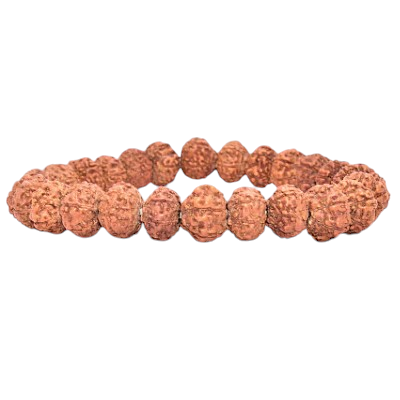 ShivaRatna 8 Mukhi Rudraksh Bracelet (Indonesian Origin)