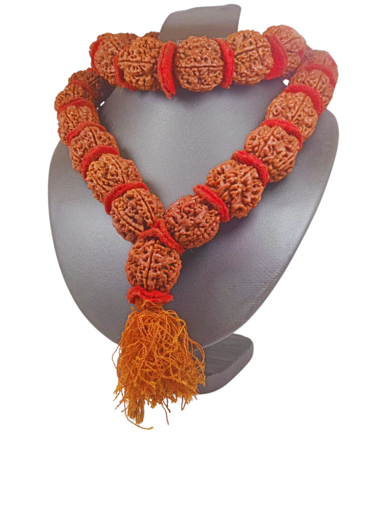 ShivaRatna 8 Mukhi Rudraksha Kantha  Mala (Nepal Origin)