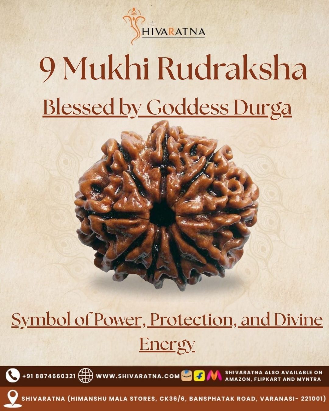 ShivaRatna 9 Mukhi Rudraksha – Certified Nepali Bead, Well-Formed and Fully Matured with X-Ray Verification - ShivaRatna