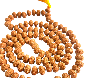 ShivaRatna 9 Mukhi Rudraksha Mala - Lab Certified