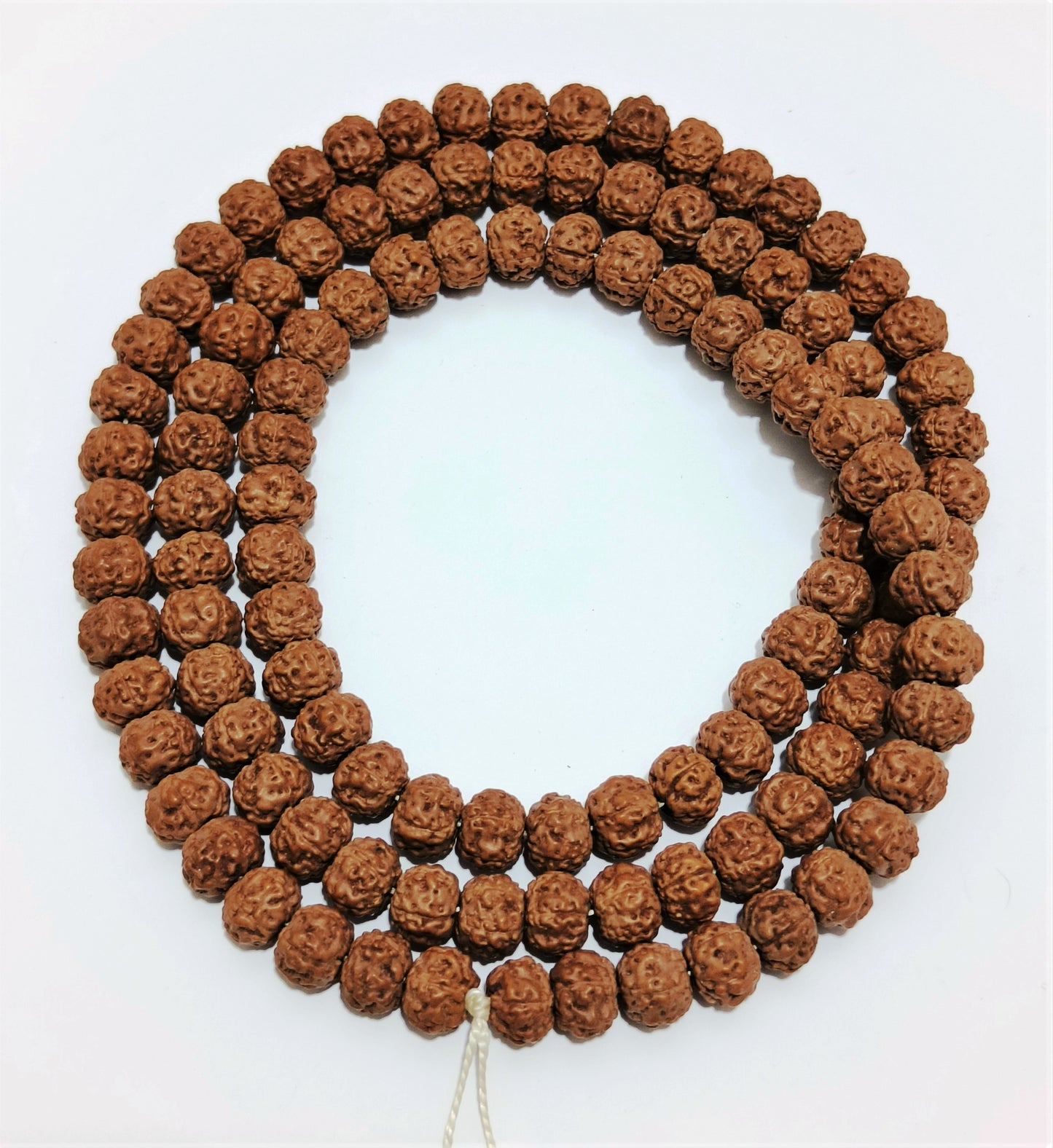 premium quality of beads rudraksha