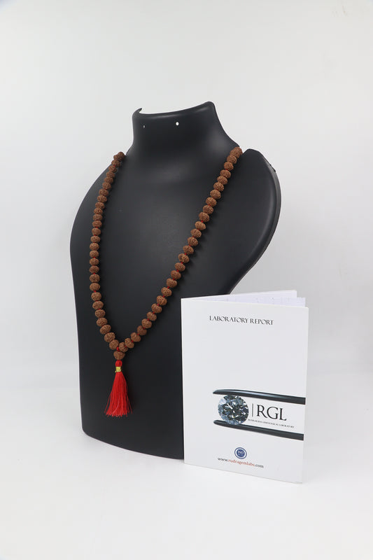 ShivaRatna 11 Mukhi Rudraksha Mala -108 +1 Beads (ISO Certified)