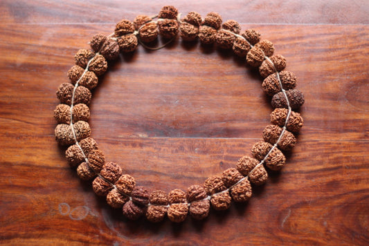 ShivaRatna Gaurishankar Kantha Rudraksha Mala-32 beads (lab Certified) - ShivaRatna