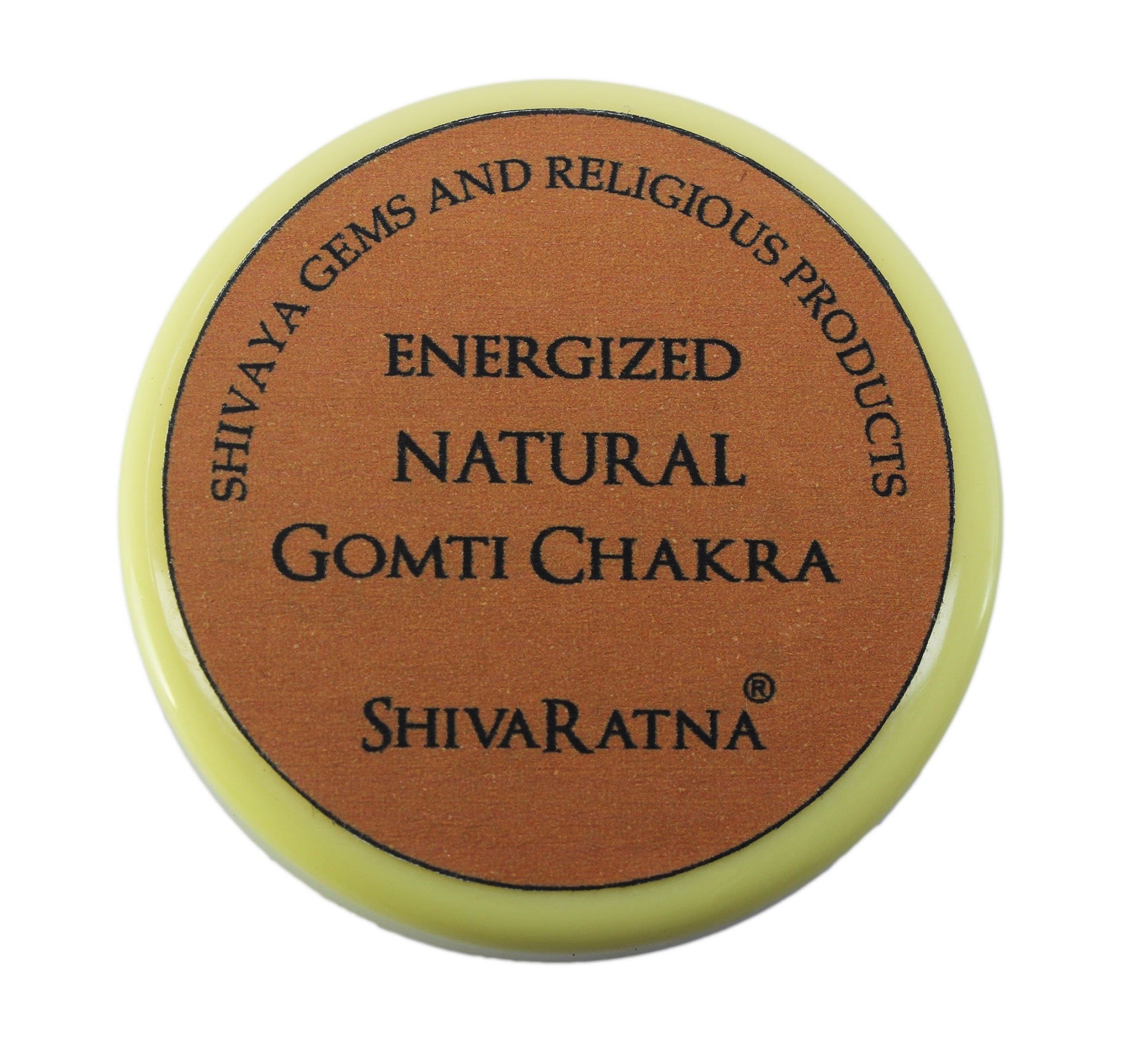 ShivaRatna Natural Gomti Chakra (Good Shape and No Damage) - - 21 Hand Picked Pieces - ShivaRatna