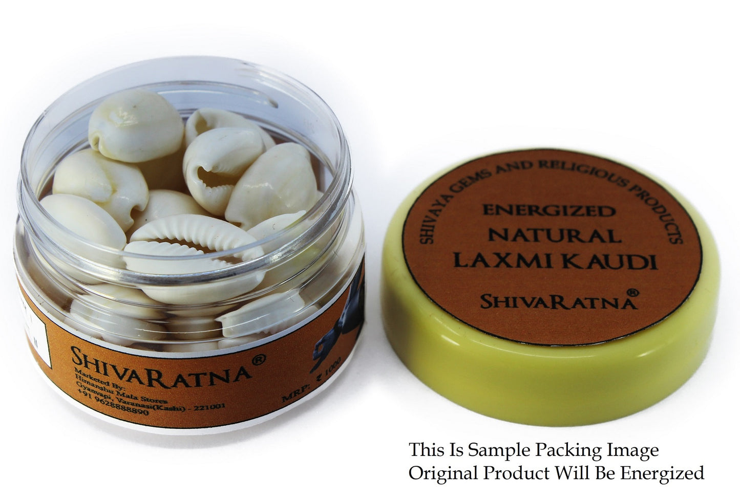 ShivaRatna Energized Natural Laxmi Kaudi - 21 Pieces (for Wealth Attraction) - ShivaRatna