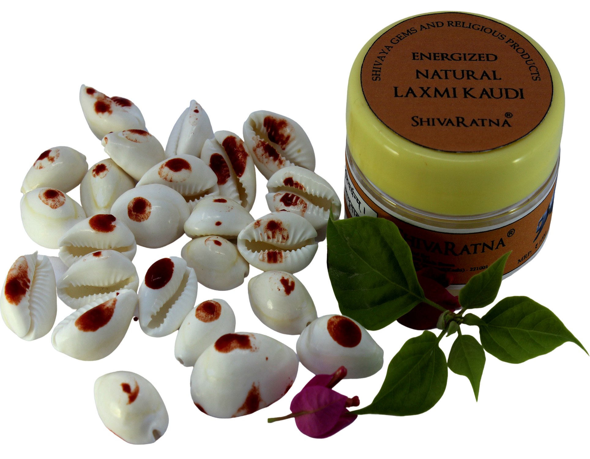 ShivaRatna Energized Natural Laxmi Kaudi - 21 Pieces (for Wealth Attraction) - ShivaRatna