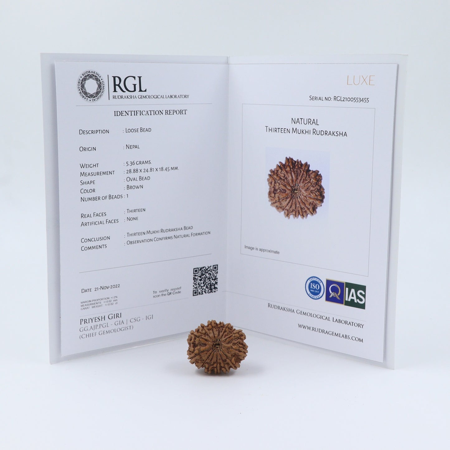 orignal rudraksha