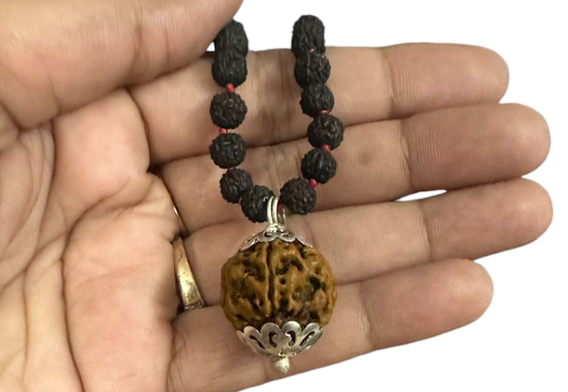 Orignal Rudraksha mala