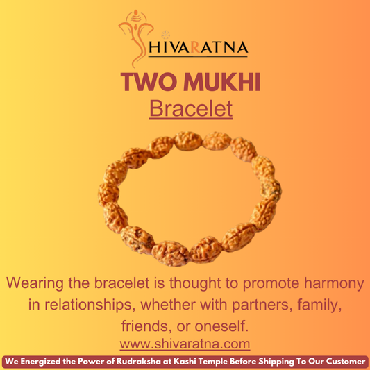 ShivaRatna 2 Mukhi Rudraksha Bracelet