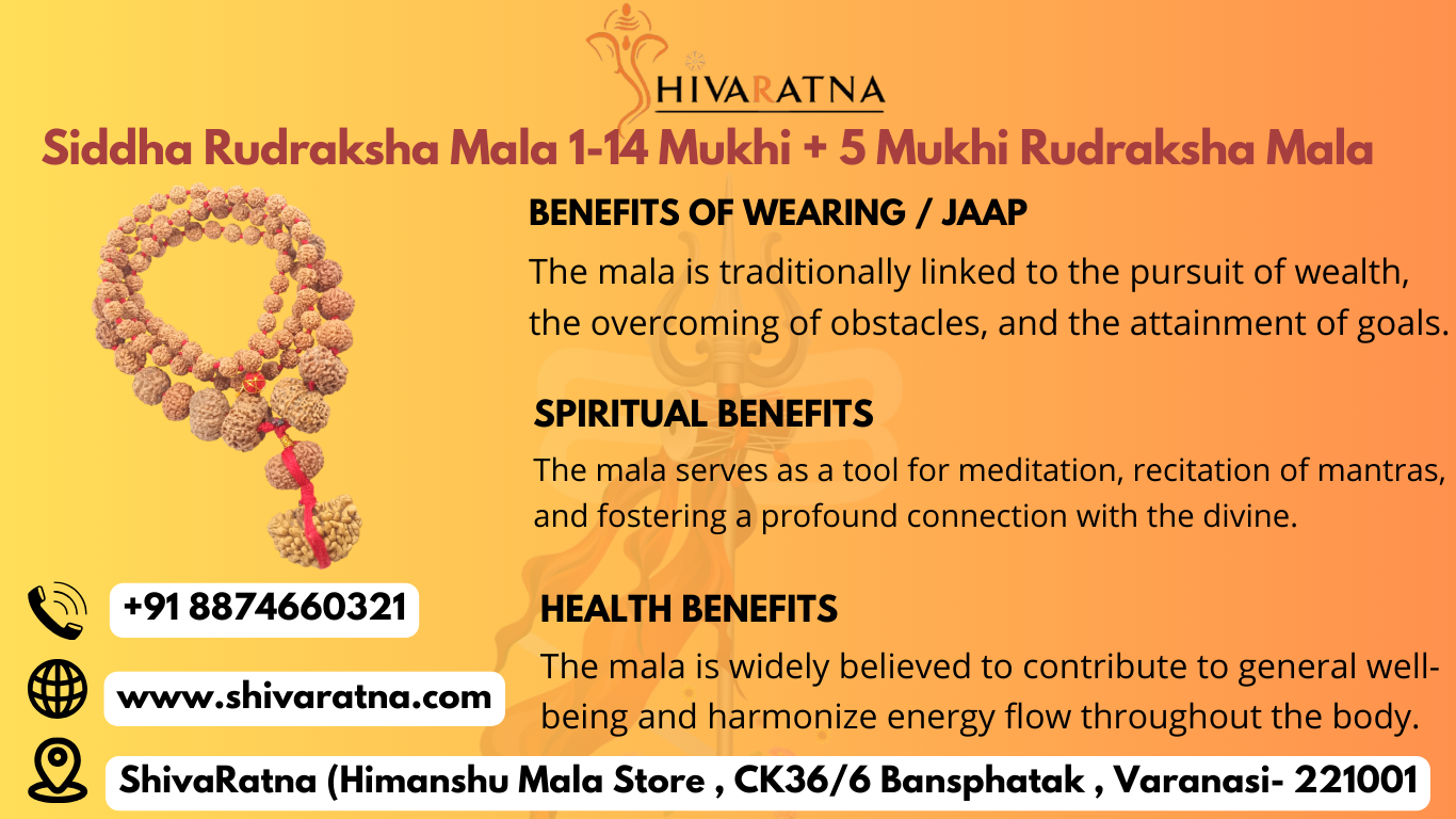 rudraksha shop in varanasi