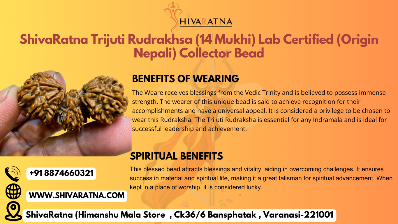 benefits of trijuti rudraksha 