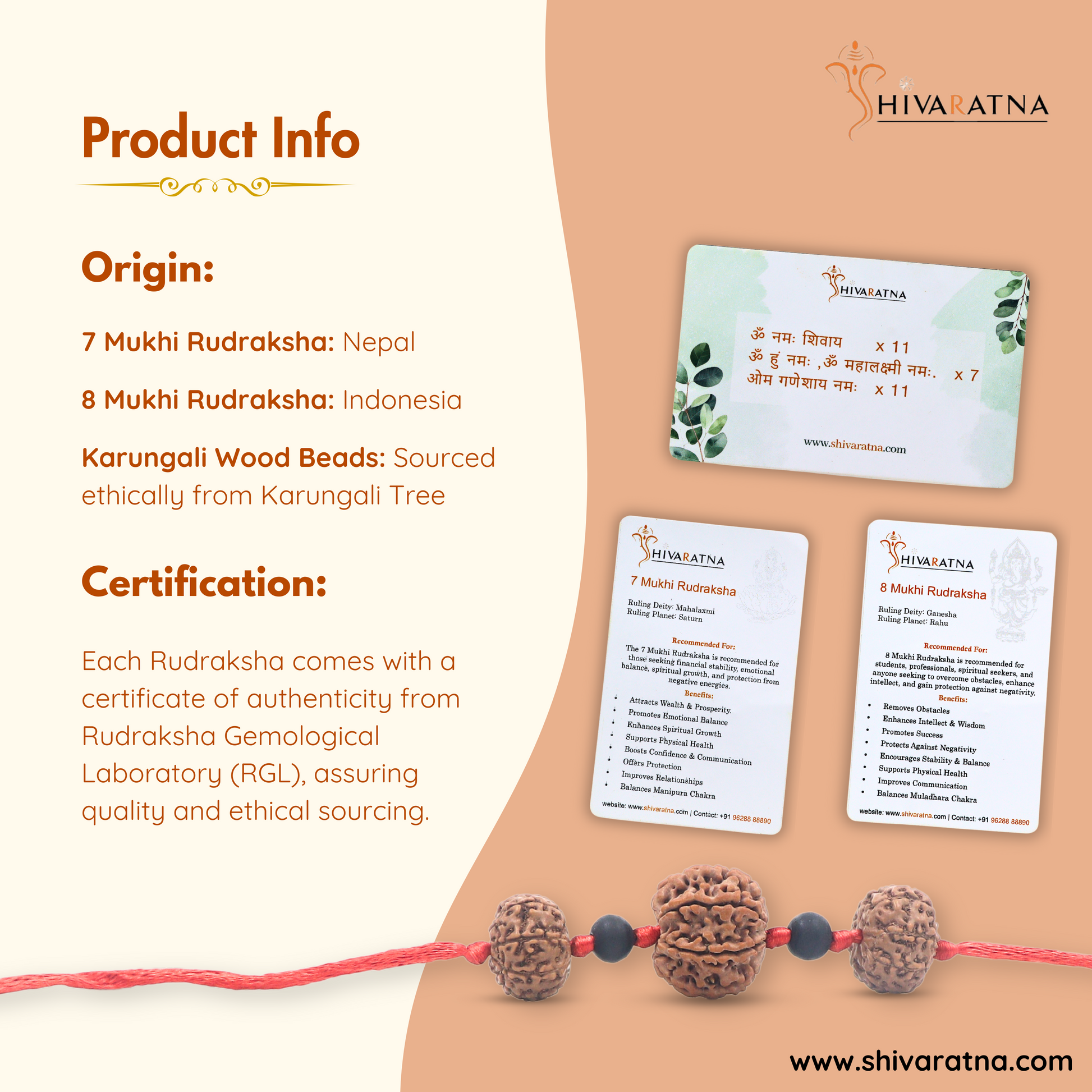 ISO certified Rudraksha