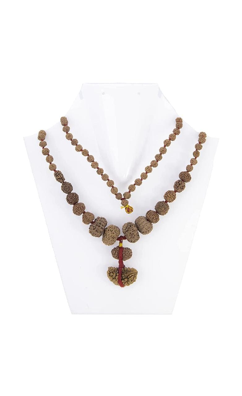 ShivaRatna Siddha Rudraksha Mala 1-14 Mukhi + 5 Mukhi Rudraksha Mala - ShivaRatna