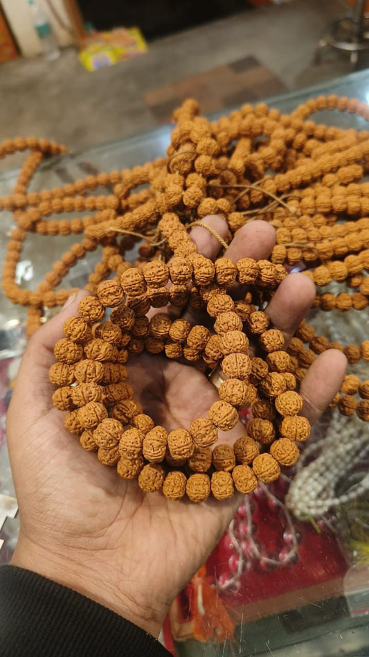 ShivaRtana Rudraksha Pathri (Chikhna) Mala -10MM