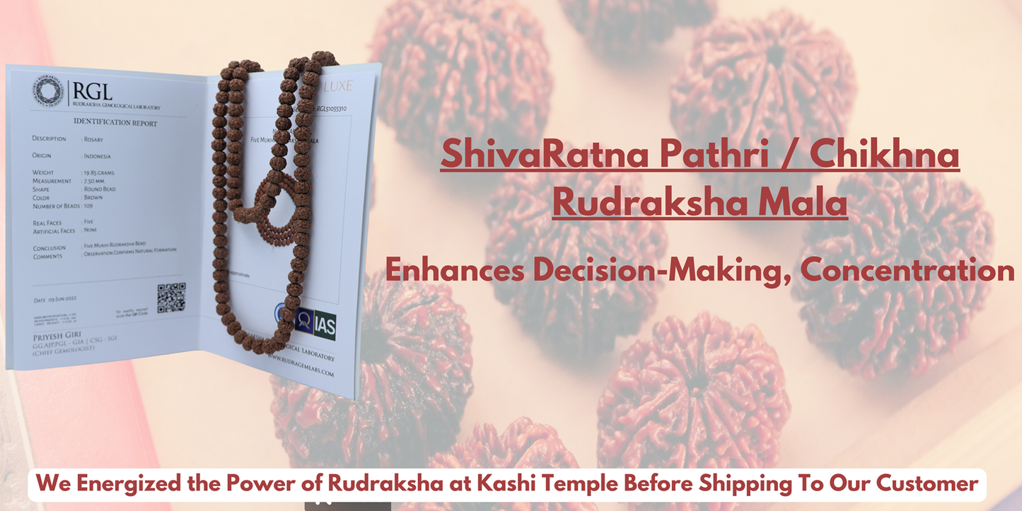 ShivaRatna Rudraksha Mala 108+1 Beads (Pathri Mala/Chikna Mala) Lab Certified