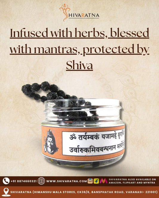 ShivaRatna Rudraksha Mala Dipped In Oil And Herbs (Mantra Siddha) 108+1 Beads - ShivaRatna