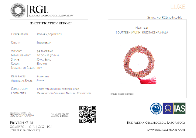 ISO Certificate of 14 Mukhi Rudraksha Mala