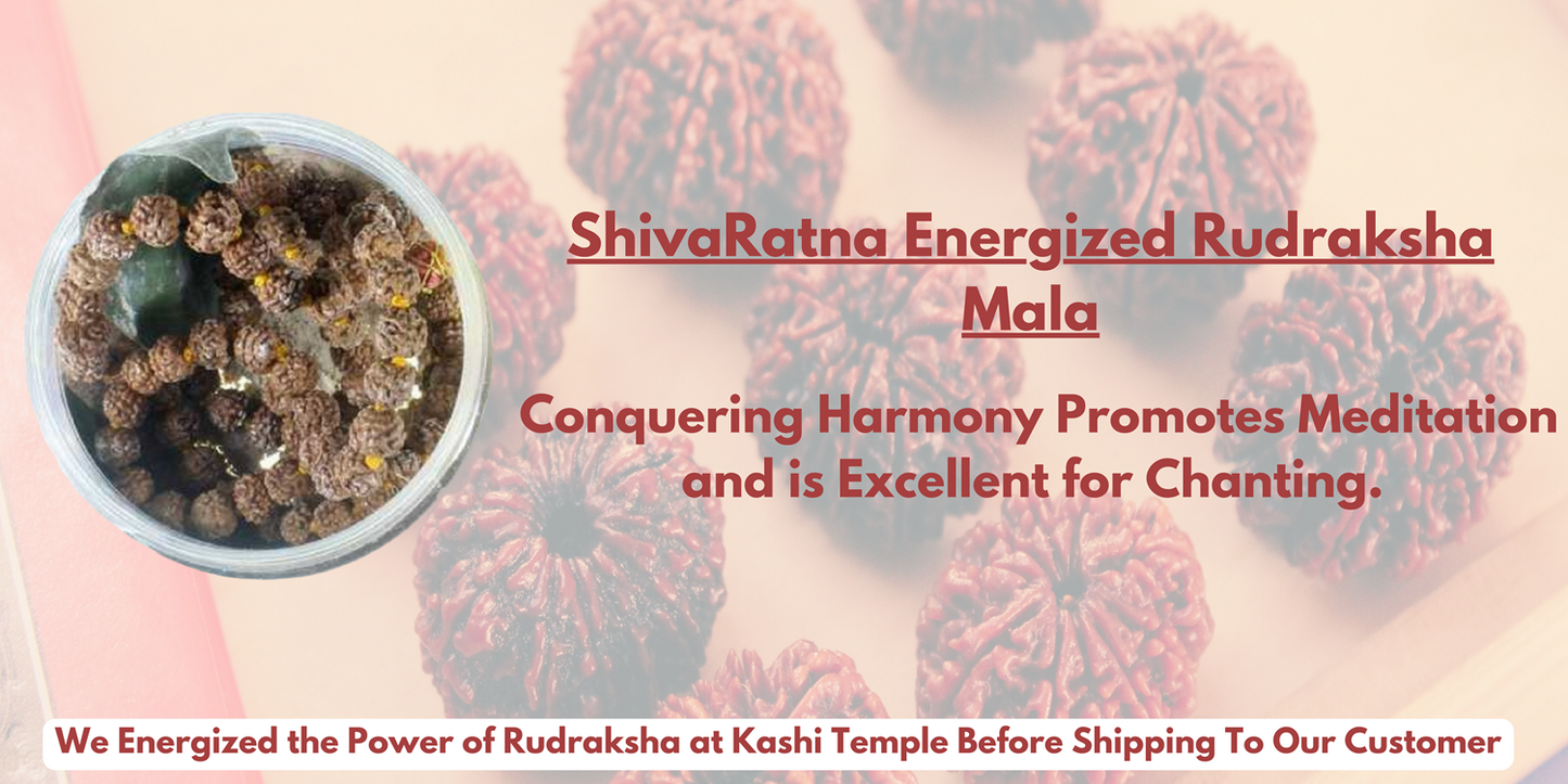 ShivaRatna Energized Rudraksha Mala 108+1 Beads ( Energized From Kashi Viswanaath Temple With Bhasmi & Belpatra )