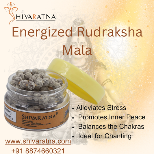 ShivaRatna Energized Rudraksha Mala 108+1 Beads ( Energized From Kashi Viswanaath Temple With Bhasmi & Belpatra )