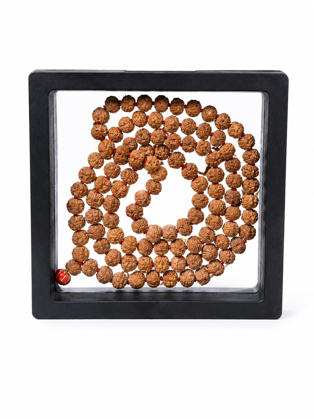 ShivaRatna Natural 5 Mukhi Rudraksha Mala 108+1 Beads (8mm) | RGL Lab Certified | Indonesian Rudraksha | Shri Kashi Vishwanath