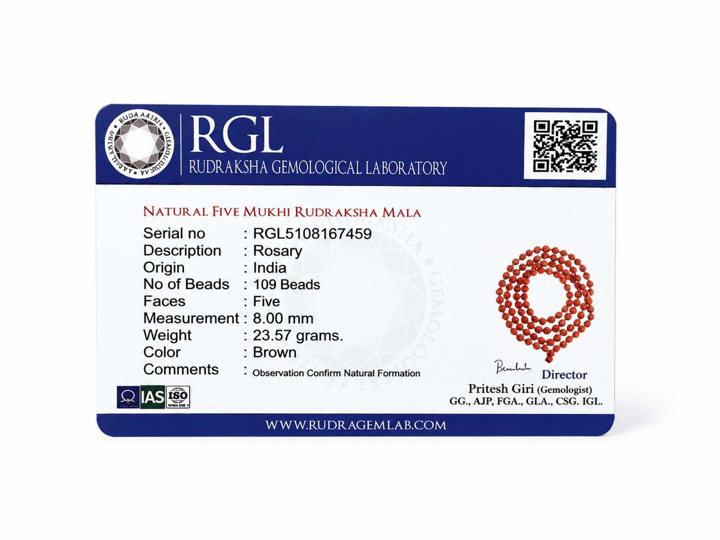 ShivaRatna Natural 5 Mukhi Rudraksha Mala 108+1 Beads (8mm) | RGL Lab Certified | Indonesian Rudraksha | Shri Kashi Vishwanath