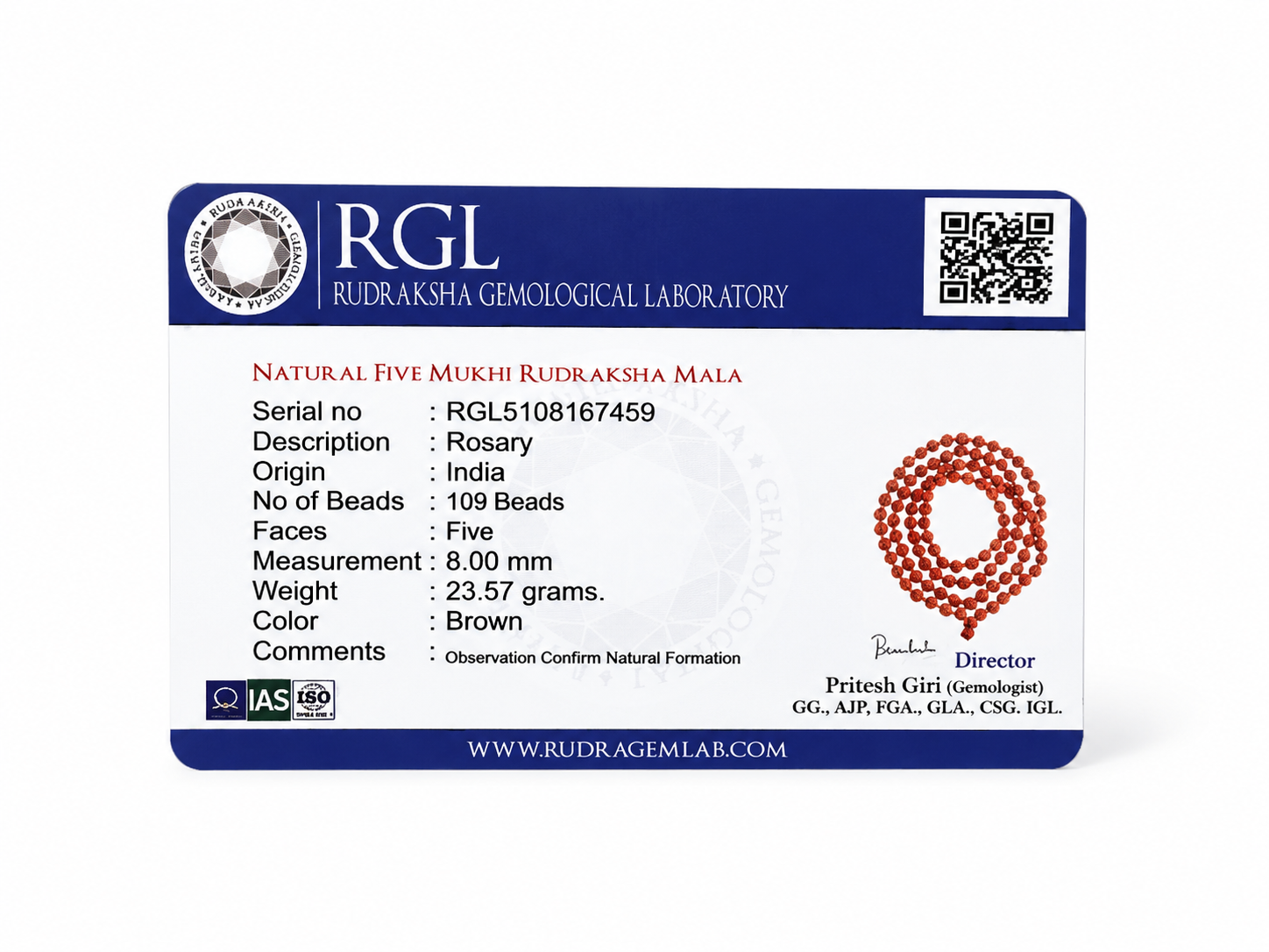 ShivaRatna Natural 5 Mukhi Rudraksha Mala 108+1 Beads (8mm) | RGL Lab Certified | Indonesian Rudraksha | Shri Kashi Vishwanath - ShivaRatna
