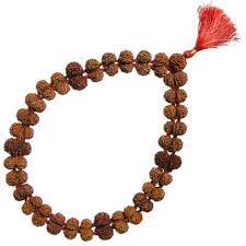 ShivaRatna Gaurishankar Kantha Rudraksha Mala-32 beads (lab Certified) - ShivaRatna
