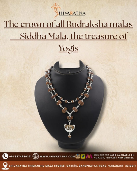 ShivaRatna Siddha Rudraksha Mala 1-14 Mukhi + 5 Mukhi Rudraksha Mala in Silver - Lab Certified - ShivaRatna