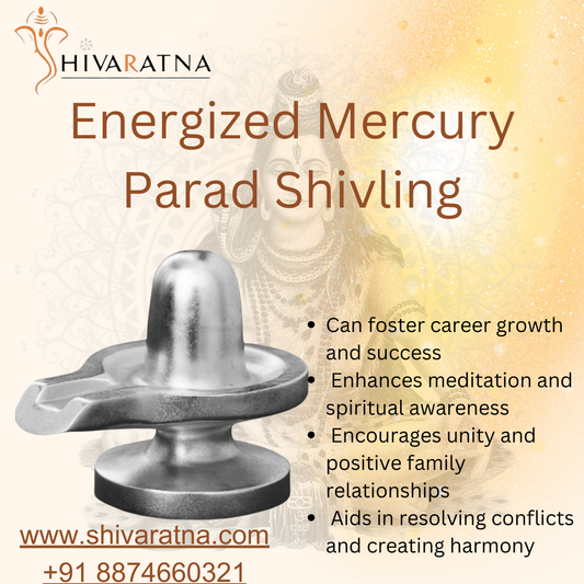 ShivaRatna Energized Mercury Parad Shivling 1328gram