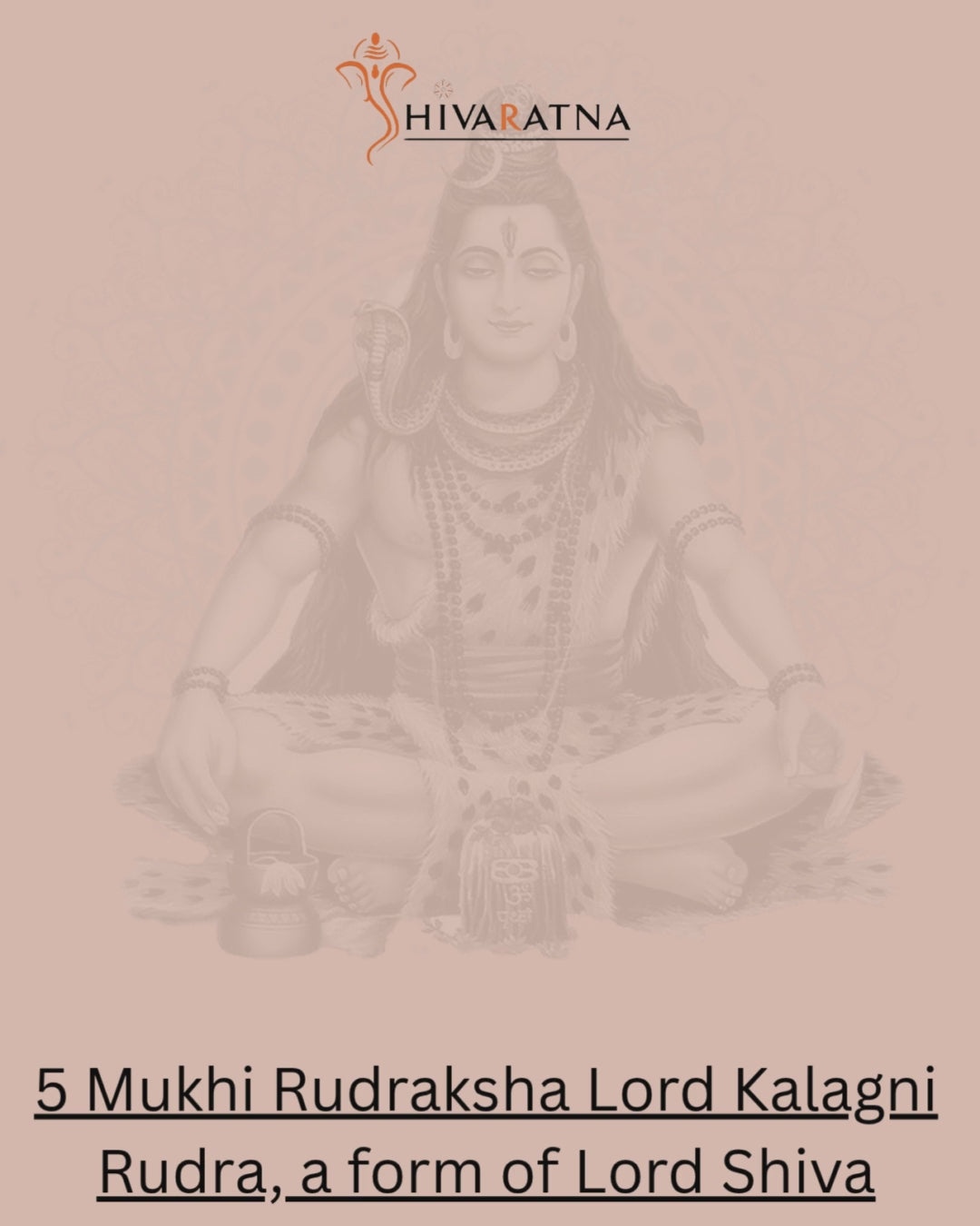Load video: badha mukti rkavach -8+7 mukhi
